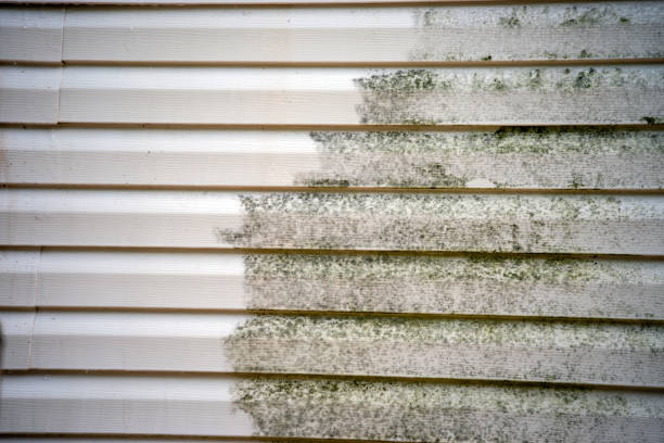 Best Construction Debris Removal  in Castle Point, MO